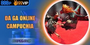 Đá Gà Online Campuchia – Trải Nghiệm Đấu Trường Kịch Tính
