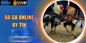 Đá Gà Online Uy Tín – Sân Chơi Minh Bạch, Thưởng Cao