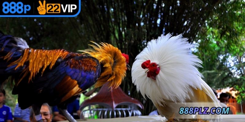 Tài khoản hội viên được bảo mật tất cả thông tin