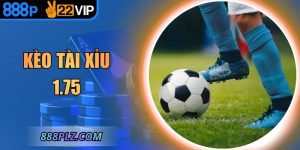 Kèo Tài Xỉu 1.75 – Cách Hiểu Đúng Và Soi Chuẩn Xác