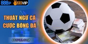 Thuật Ngữ Cá Cược Bóng Đá – Kiến Thức Nền Tảng Cho Hội Viên