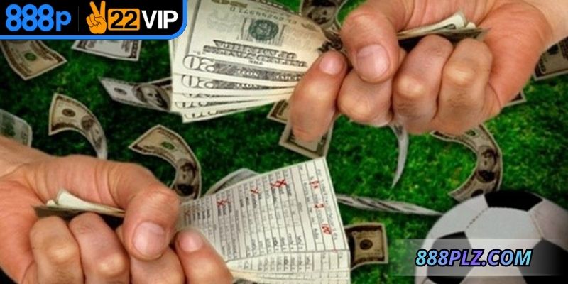 Nâng cao kinh nghiệm chơi bằng các ngôn ngữ chuyên biệt